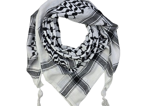 20240407_171510-removebg-preview